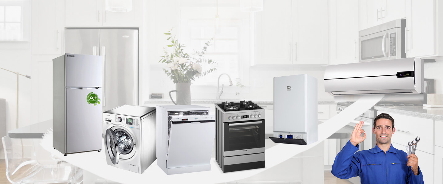 Menderes Philips Servisi
